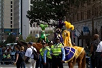 IMG_0428.CR2